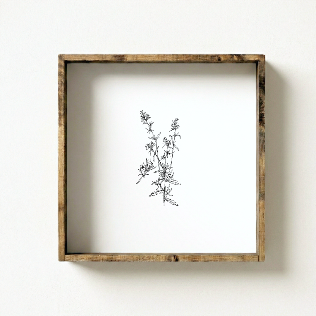 Vintage Floral Stem No. 2 Framed Wall Art - Botanical Print