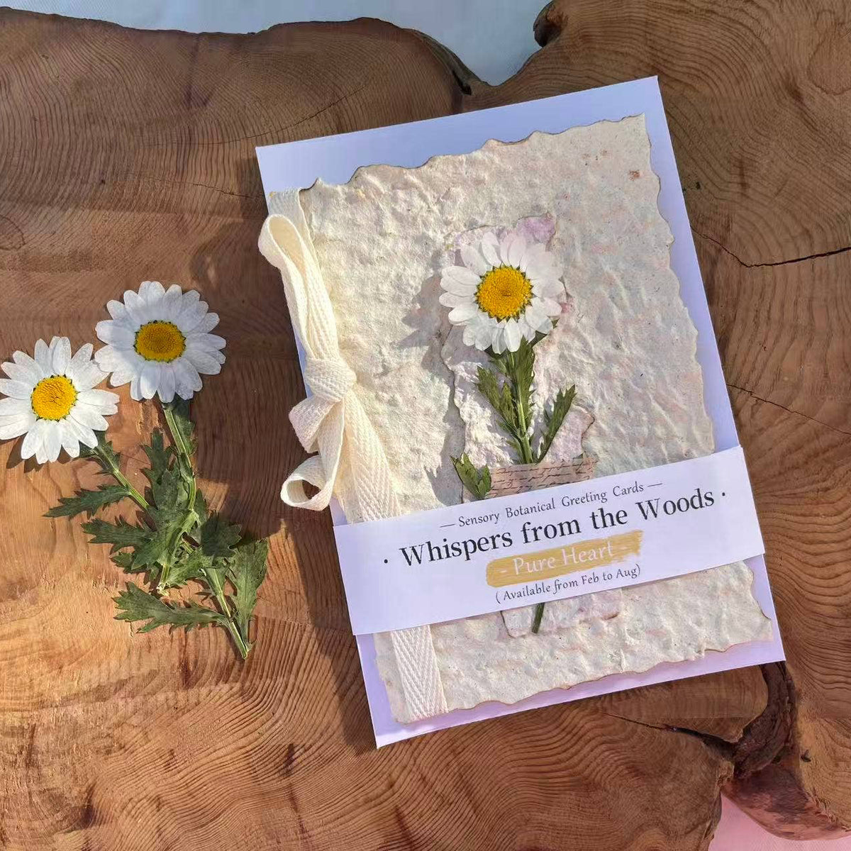 Pure Heart Handmade Sensory Dried Daisy Greeting Card